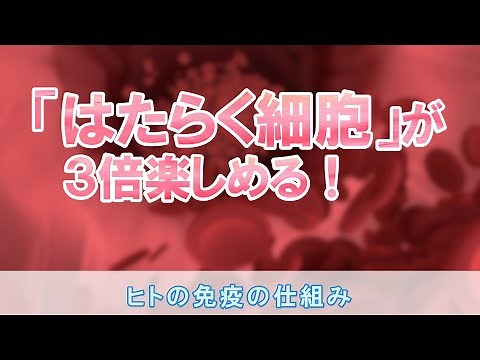 The workings of the human immune system explained using characters from Cells at Work! Makes Cell...