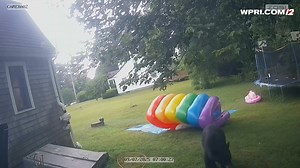 WATCH: A black bear picked a fight with a young girl's rainbow inflatable sprinkler tunnel earlier this week. More: https://www.wpri.com/news/local-news/south-county/black-bear-tussles-with-inflatable-sprinkler-tunnel-in-charlestown/ | WPRI 12