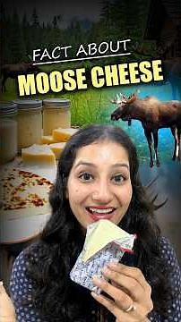 India mei toh suna bhi nahi hoga! 🫎 Cheese worth lakhs?! #MooseCheese #RareFood
