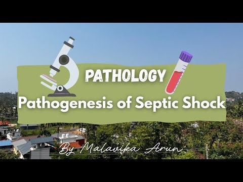 Pathogenesis of Septic Shock | Pathology