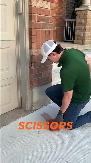 How to seal any gaps to keep mice out