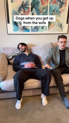 Dogs When You Get Up - A Hilarious Adventure Compilation