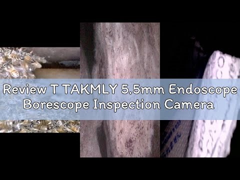 Review T TAKMLY 5.5mm Endoscope Borescope Inspection Camera with Light for iPhone, OTG Android Phone