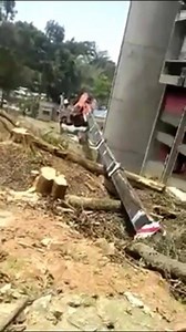 316K views · 1.1K reactions | Risk on tree cutting work. What is the cause of this accident? Talk together  | Crane Operator Network | Facebook