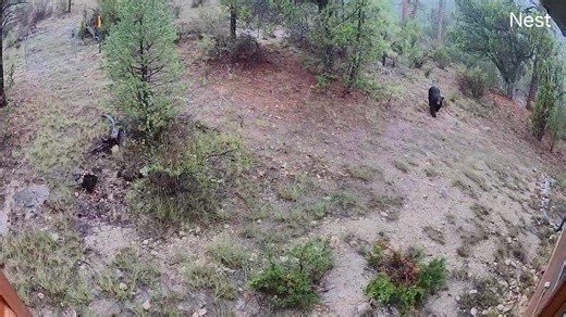 Eric Anderson on Reels