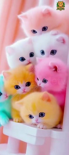 Cute Baby Cat Cartoon 🐱 Funny Cat Animation for Kids #cat #kids #catanimation