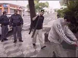 Captura do Bauruzinho para enfeitar república (Bauru-SP)