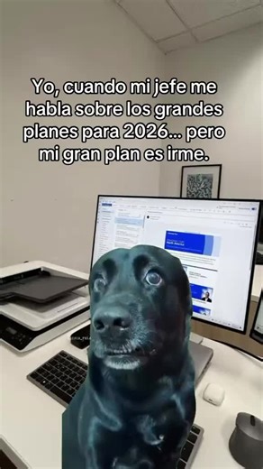 DOMINA EXCEL | APRENDE FORMULAS Y TIPS on Instagram: "🔎¡SE BUSCAN! 80 personas para aprender EXCEL profesional en 30 días🗓️🔝 🙋‍♂️Para Aprender EXCEL 📊 Comenta YO🔥 . . Créditos Tiktok barlogme_1998 #excel #tips #curso #educacion #parati"