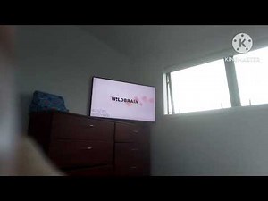 The Scary wildbrain logo history