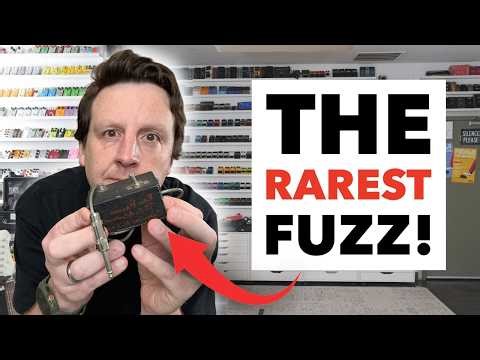 Rarest Fuzz I Own? Liverpool Fuzz | Danelectro Fuzz, Overdrive, Reverse Delay, Spring Reverb, Octave