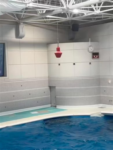 いおワールドかごしま水族館で「みさえドアを開けなさい」
