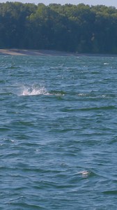 "Are we fishing in Narnia?!" 😅 The Pacific Northwest is wild! | Field Trips with Robert Field