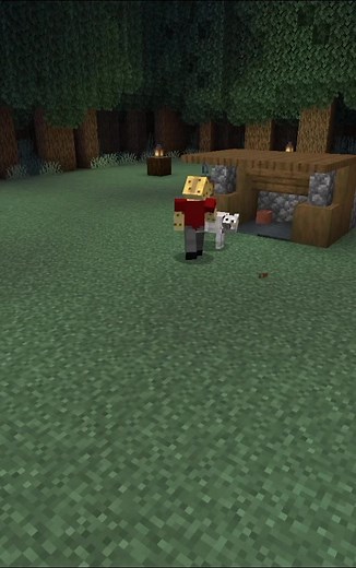 How to Build a Simple Wolf House in Minecraft