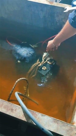 #compressor leak testing .#ac #copeland compressor