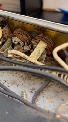 Fender Bassman 135 - former aquarium reef?? #electronicsengineering #vintageamp #fenderamps