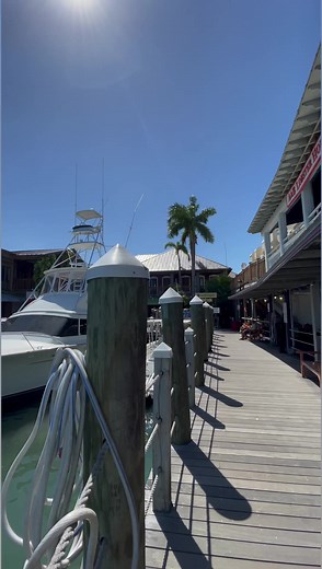 70K views · 383 reactions | One of my favorite places to walk around is the Key West Historic Seaport. There are restaurants, shopping, charter boats, and more! #marina #floridavacation #keywest #charterboat | Key West Virtual Tours | Facebook