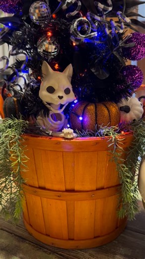 💜🧡🖤AUCTION TIME! 🖤🧡💜 We have a lovely Halloween/spooky tree with some goodies we are auctioning off to the highest bidder! Drop your bids below and this gift could be delivered to your door! Charlotte and surrounding areas can participate. All bids must be placed by Friday, October 31st! Tree and treats will be delivered on Halloween! ✨what’s inside? ✨ 🧡spooky tree 💜Dome litter box 🧡Pink cat bed 💜Fromm Kibble 🧡Clay Litter 💜2 Fussie Cat Squeeze treat packets 🧡Spring toys 💜Wand toy �
