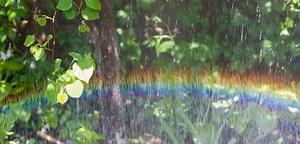 Sprinkler – CATS Software