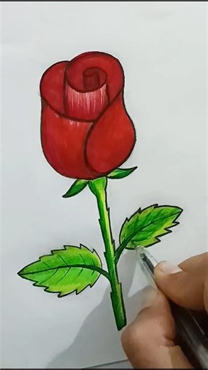 How to draw Red Rose 🌹🌹🌹🌹✏️