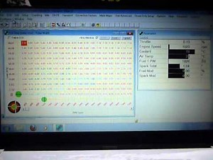 Focus zetec 2.0+ ecu Omex 600 150hp