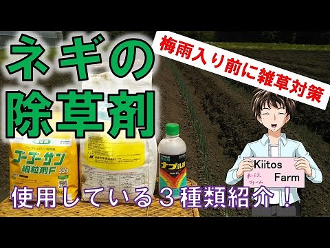 【ネギの栽培】雑草対策！ネギに使える除草剤紹介