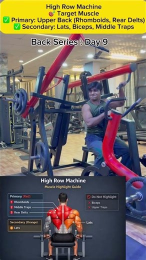 High Row Machine | Upper Back Workout | Proper Form & Target Muscles