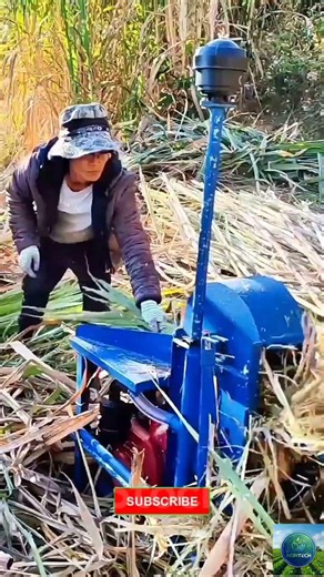 Efficient Portable Sugarcane Harvesting Machine | #satisfying #agriculture #agritech #farming #viral