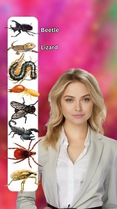 2.1M views · 36K reactions | Learn English with Pictures #englishlearning #learn #LearnEnglish #EnglishClass | The Nature Film | Facebook