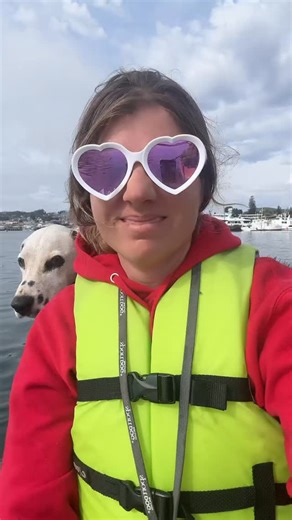 Brooke Jordan on Instagram: "Your real friends will reel you in anyways - I go out paddle boarding with a million dogs and get sick every time and my friend pulls back me and a million dogs every time. 😆 oh and sometimes Ben too! #friendshipgoals #paddleboardingdog #chronicillnessawareness #tbiawareness #dogadventure"