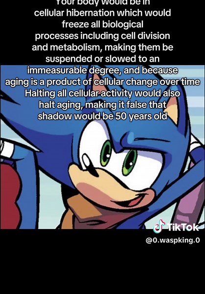 Debunking Misinfo in Sonic Fandom Ships
