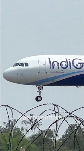 INDIGO A321NEO landing at Chennai Airport #shorts #aviation #indigo #a321 #landing #plane #chennai