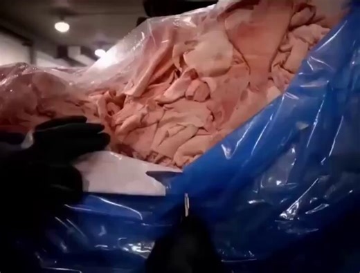 My woke take is that I like that we use all of the animal, not just the best cuts of meat.