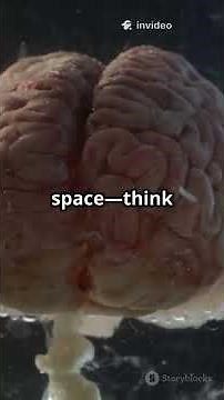 Unveiling the Brain's Protective Layers: Dura, Arachnoid, and Pia Mater