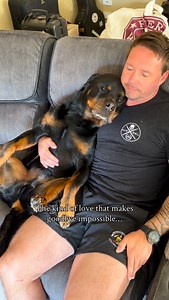 How do you explain this type of love to someone who’s never had a dog? 🥹♥️ @beauandbarneyy . . . . . #dogsarelove #dogsarethebest #dogloverstagram #rottweiler #rottweilerlove #rottweilerworld | Rottweiler Beau