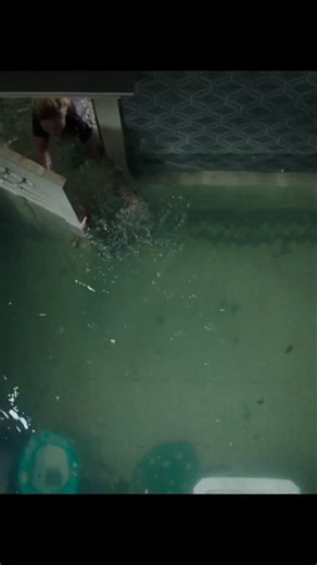 HQC OFFICIAL on Instagram: "Movie Name - Crawl(2019) Directed by Alexandre Aja, Crawl is a gripping, intense thriller that will keep you on the edge of your seat. This 2019 movie takes you on a suspenseful journey as a massive hurricane hits Florida, and a young woman named Kaya Scodelario's character, Haley, sets out to find her missing father. As Haley navigates the treacherous waters, she finds herself trapped in their family's old house, surrounded by massive alligators. The movie's expertly