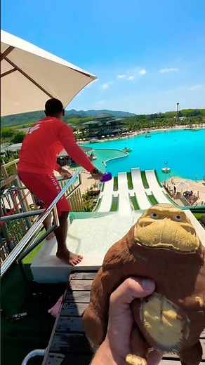 Monkey doesn’t wear any pants on the water slide🤣