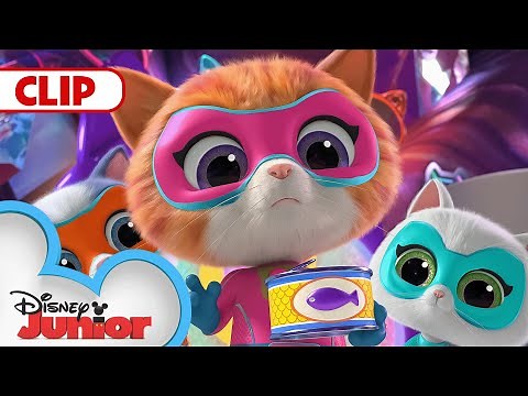 Zsa-Zsa Steals all the Oranges 🍊| SuperKitties | ‪@disneyjr‬​