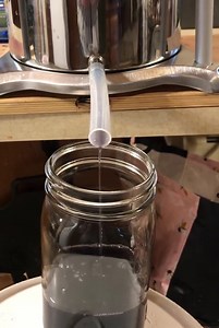 Ghost Pipe Tincture Monotropa Uniflora 2 Ounce W Flower in Bottle, Indian Pipe ~ Willow Moon - Etsy