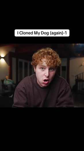 I Cloned My Dog (again)-1 | cloning dogs