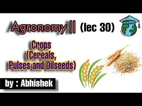 Crops (Cereals, Pulses & Oilseeds)• Lec 30 • Go For Agriculture Education #icar #bhu #ibps #crops