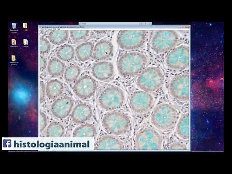 How to Install ImageJ 1.50 1.80 Win64 - Digital Image Analysis - Online Course 4-010