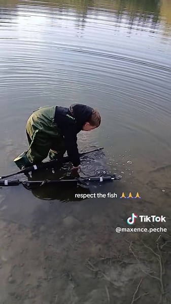 #carpes #fishing #viral #video #trend #pêche #fyp #poissons #fish #bouillettes #fiching