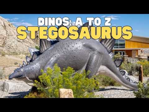 Dinos A to Z: Stegosaurus | Learn fun facts about this spiky dinosaur