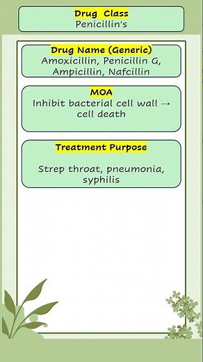 Penicillin Amoxicillin Penicillin G Ampicillin Nafcillin #pharmacology #rnschool #nursingexam