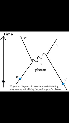 Why does light make up the electromagnetic spectrum?