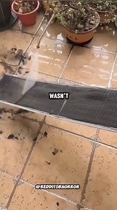 910K views · 4.3K reactions | #reddit #redditstories #reddit_tiktok #reddithorror #nosleep #stories #horror | Reddit Horror | Facebook