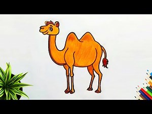 Easy Camel Drawing for Beginners | Step-by-Step Cartoon Camel 🐪