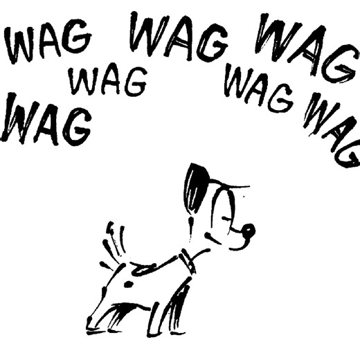 It's one of our favorite days of the year: International Dog Day! We're wagging our tails extra today. Be sure to give your pups extra belly rubs and treats today! | MUTTS