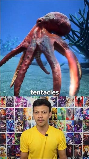How Octopuses Regrow Their Limbs 🐙
