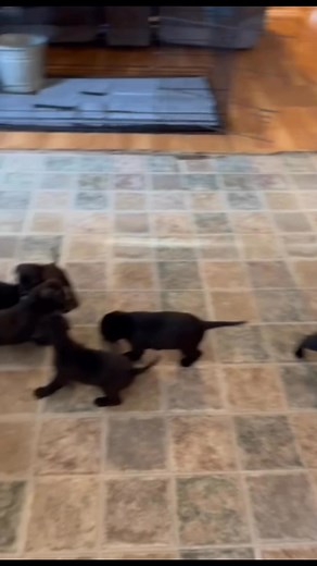 1.9K views · 38 reactions |...